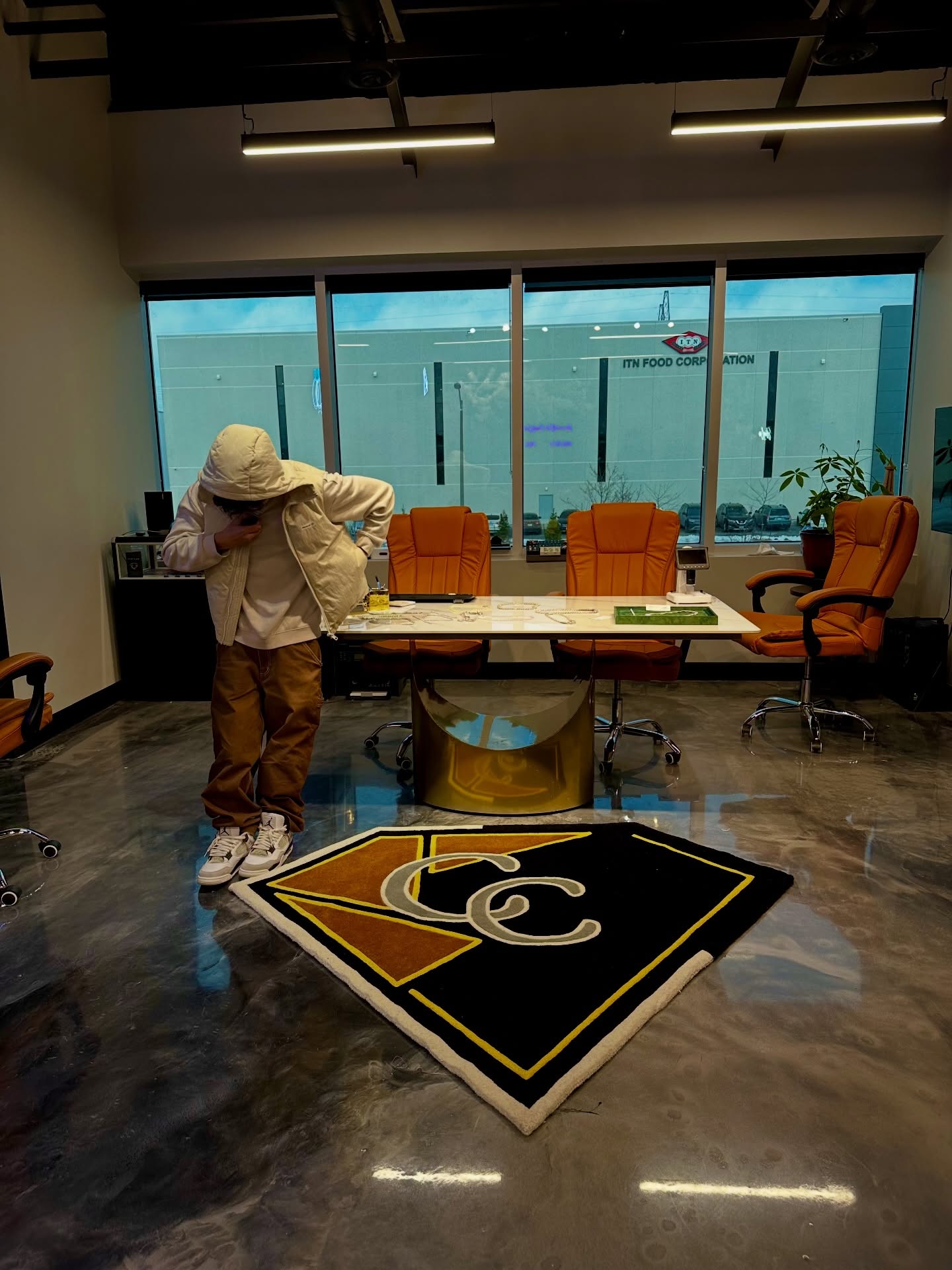 Showroom Silhouette Rug